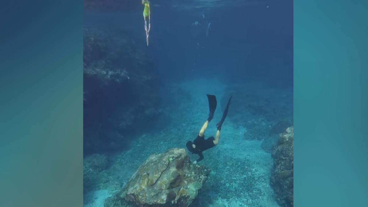 蘭嶼海域「硨磲貝」遭敲打死亡　畫面流出惹眾怒　縣府說話了