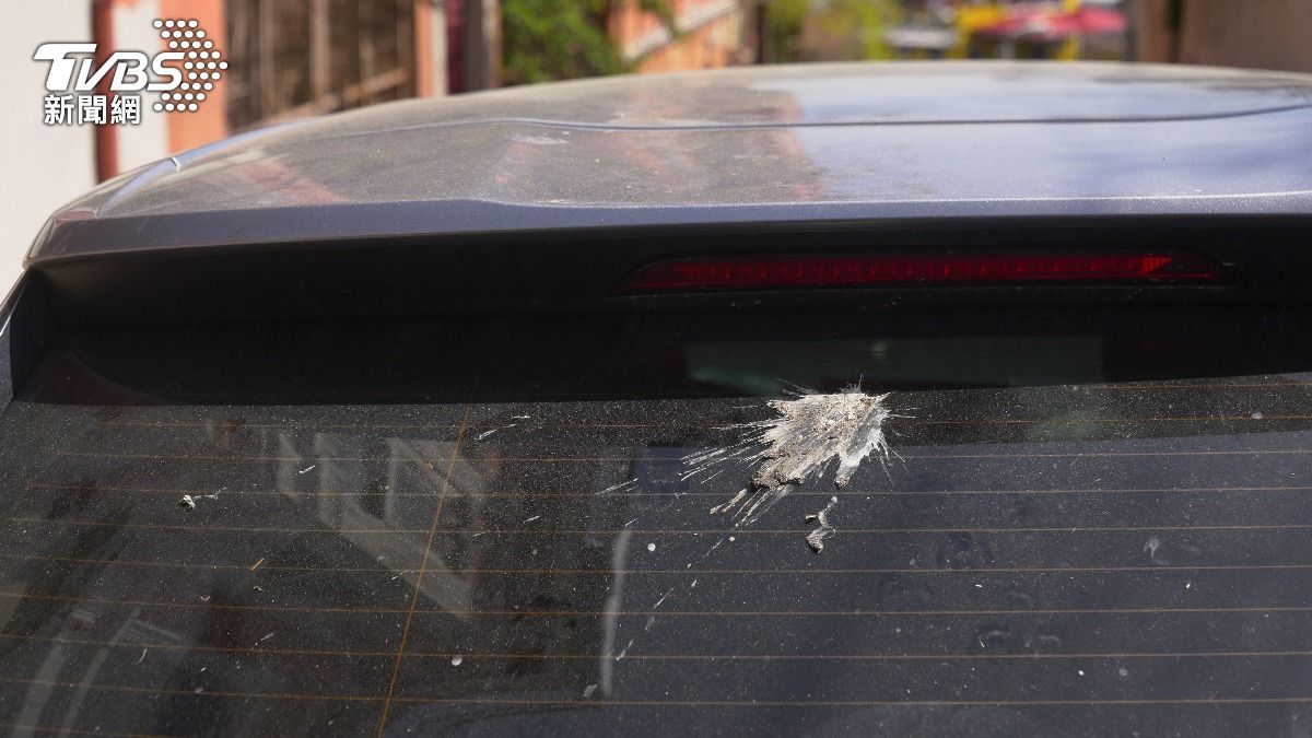 美國汽車銷售商研究顯示，鳥類排便對於特定車輛存在偏好。（示意圖／shutterstock達志影像）