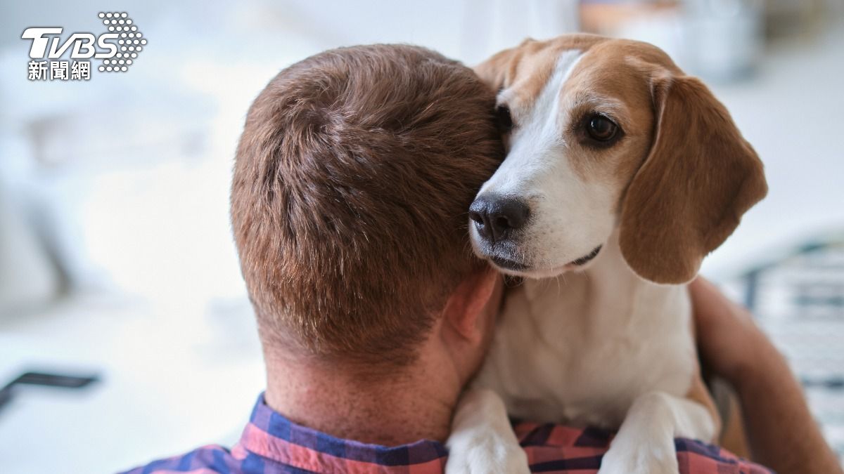 治療犬為末期病人與家屬帶來了無條件的關懷與安定感。（示意圖／shutterstock達志影像） 