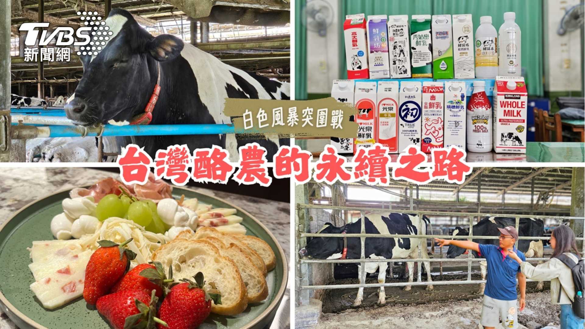 第9屆全球華文永續報導獎／白色風暴突圍戰-臺灣酪農的永續之路