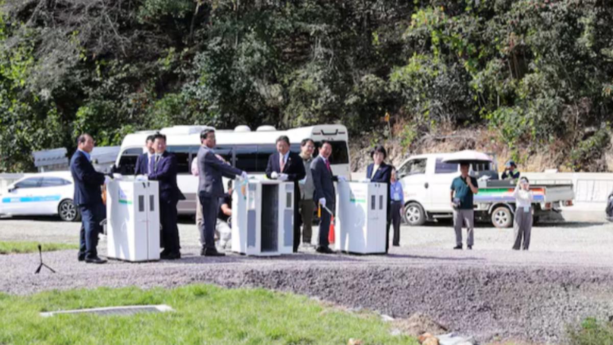 南韓野放瀕危「東方白鸛」出包！疑關籠太久死亡　環團轟殘忍