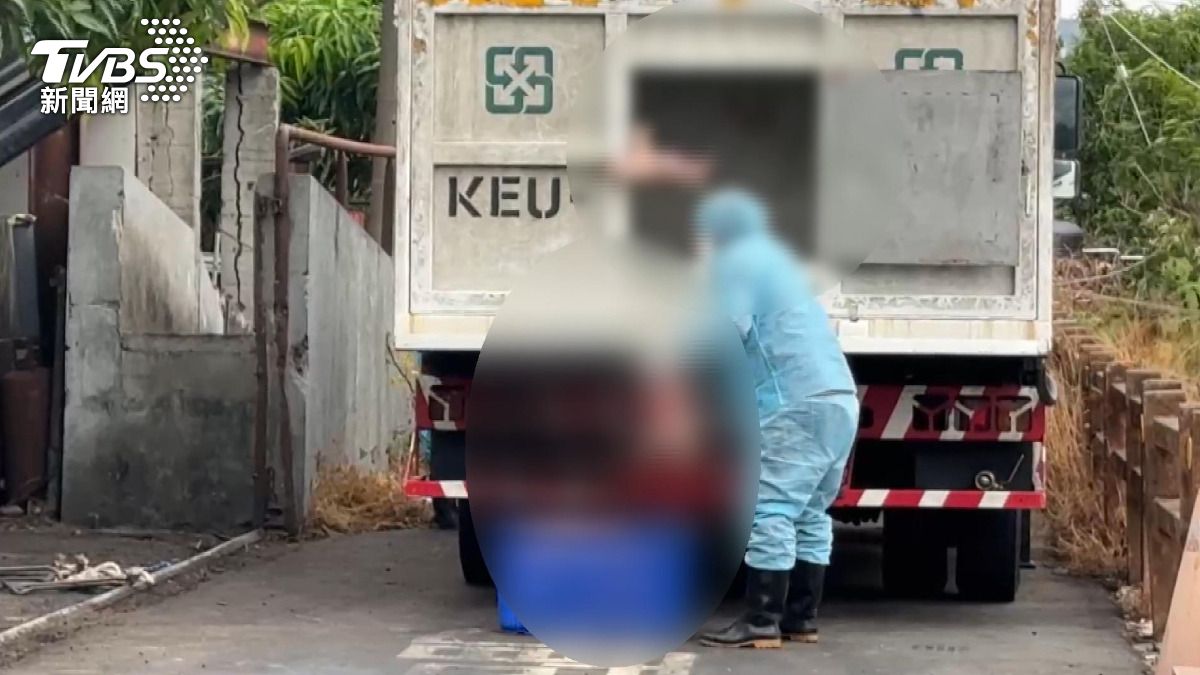 台中養豬場爆疫情後仍出貨!非洲豬瘟肉品流入3縣市 恐存活千日