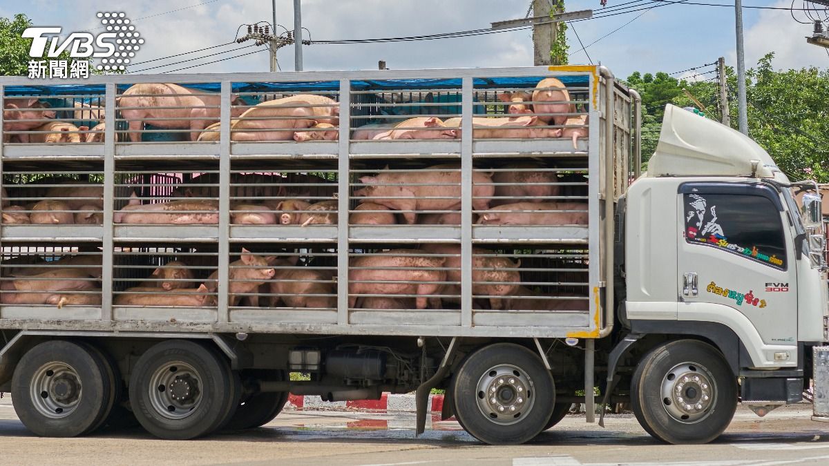 台中豬肉加工品流向新北 衛生局:已售468公斤、未供校園