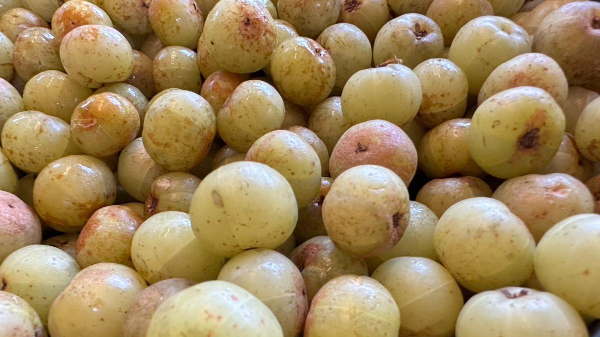 男性友善!「這水果」抗氧化、抗發炎 還保護腎臟功能