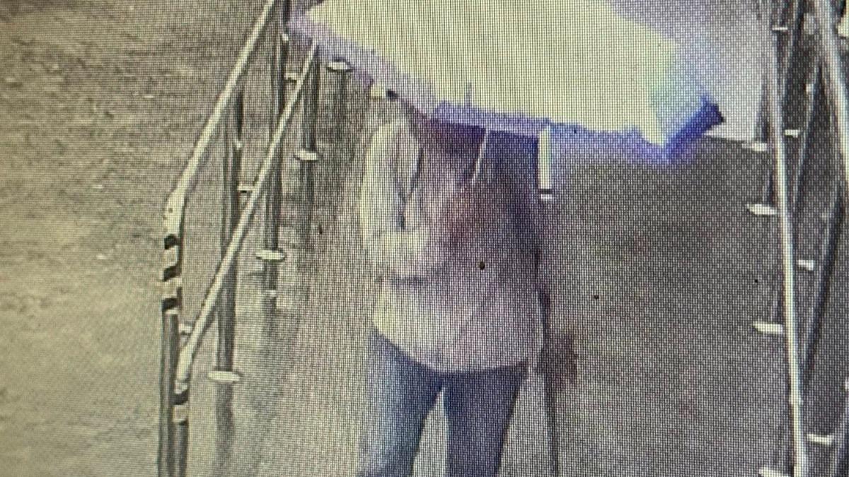 79歲翁獨闖叢雲山失聯!監視器畫面曝光 家屬懸賞50萬