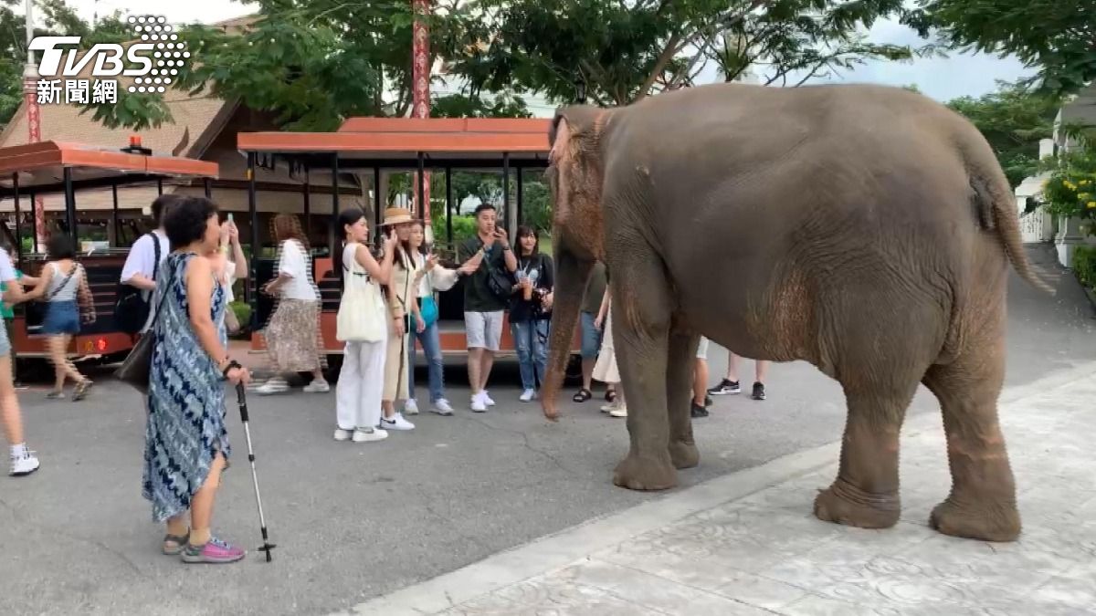 穿黑衣悼念王太后！旅泰台人注意　表演場所營業恐提早關閉