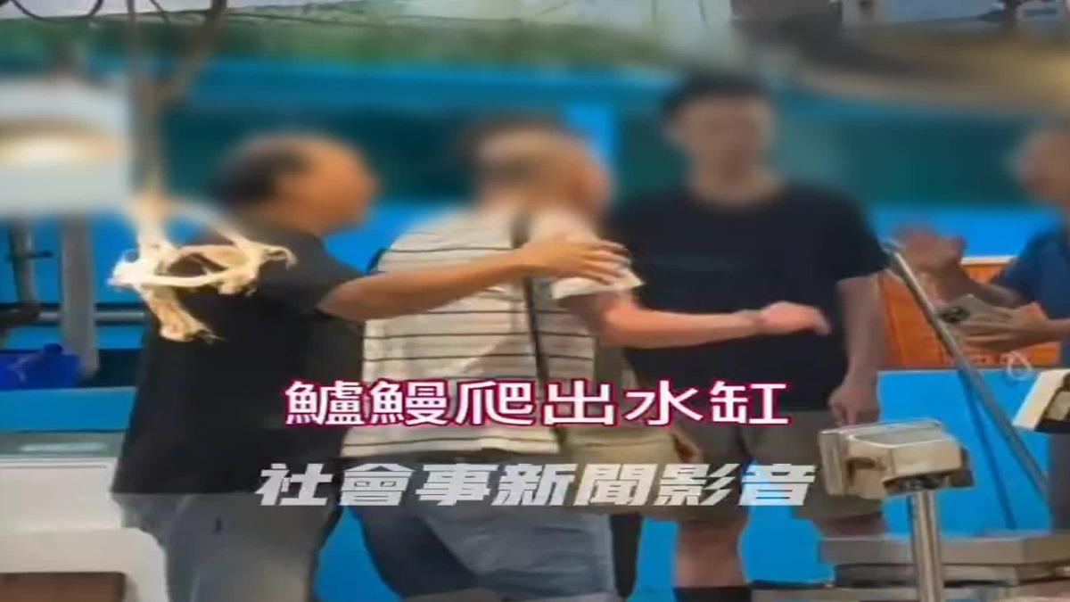 崁仔頂大尾鱸鰻駕到?男拿「手機砸臉」 攤商無奈不敢告