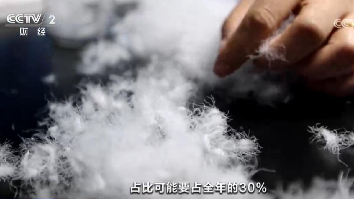 中國北方暴雪催生「暖經濟」!鴨絨飆漲13% 羊毛飆升2成