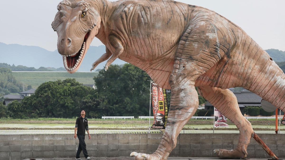 美挖出恐龍木乃伊!改寫歷史 澳洲千萬紅蟹大遷徙