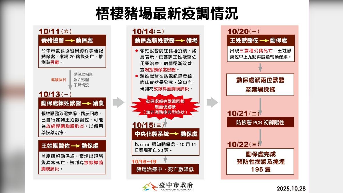 台中非洲豬瘟撲朔迷離!最新疫調時間軸曝 3度誤判錯良機