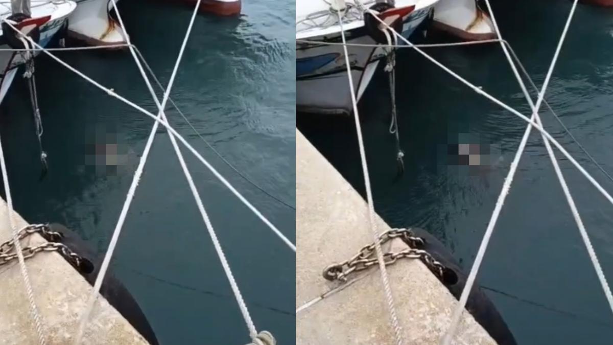 澎湖外籍漁工突人間蒸發3天 今浮出水面成冰冷遺體