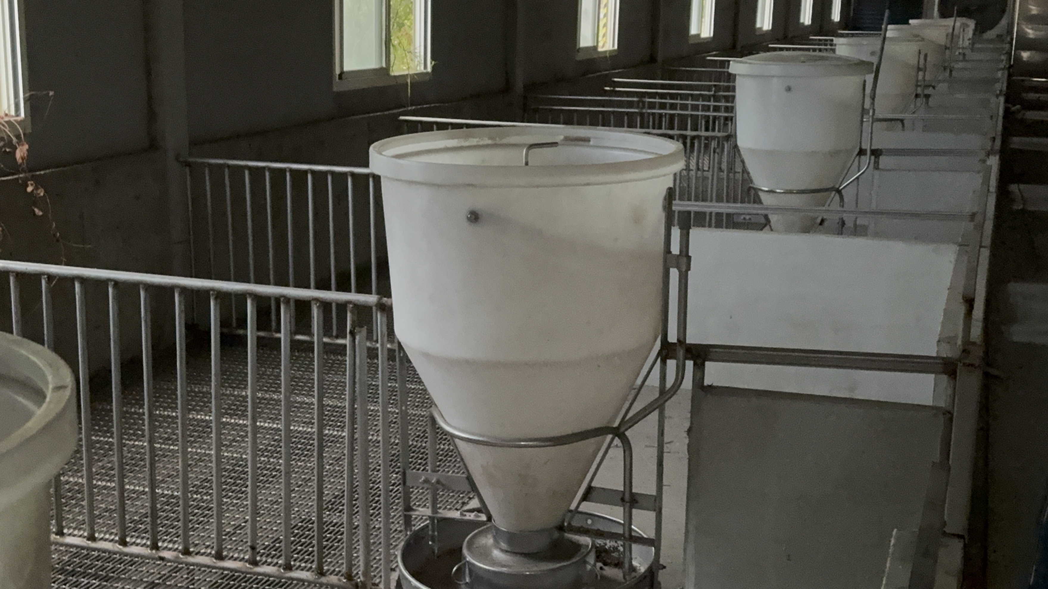 農場晃晃第三代接手 斥資千萬改建傳統豬舍創造多贏