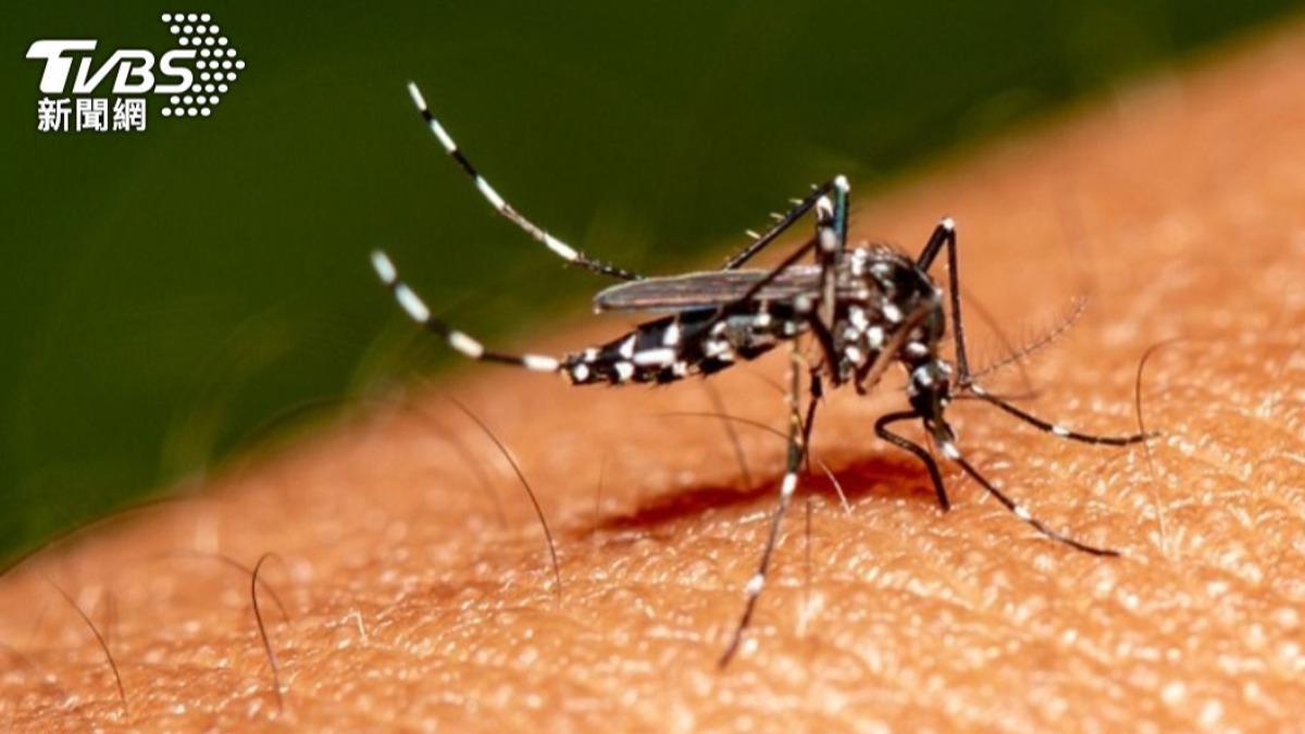 登革熱四型病毒「台南現蹤」! 重覆感染恐重症