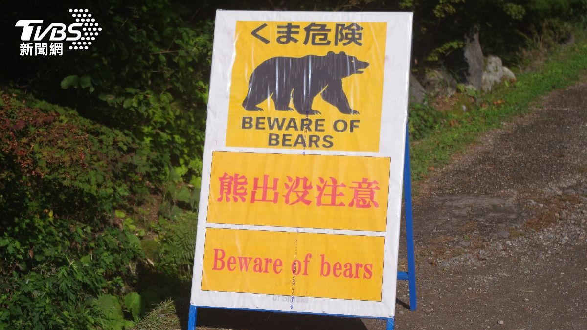 日本熊害史上最糟　自衛隊出動幫忙抓熊