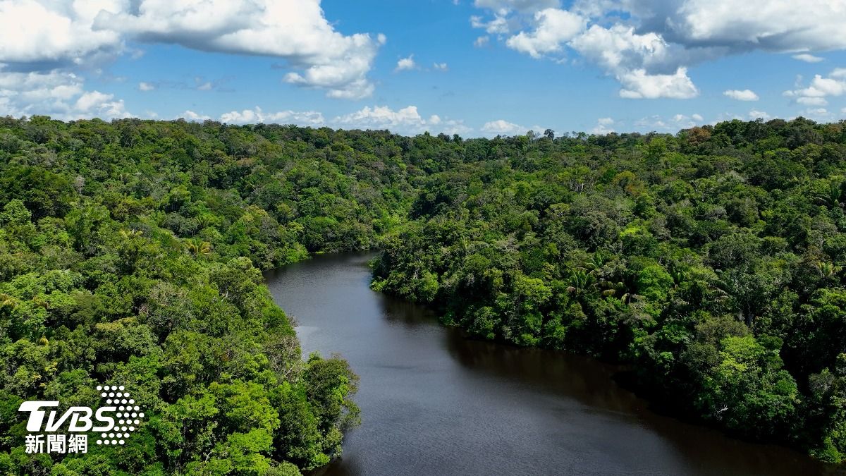 拯救森林基金啟動 全球領袖初步承諾投入50億美元