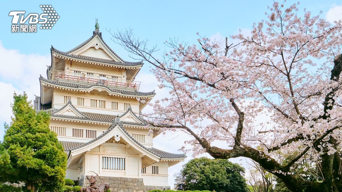 日本熊害蔓延！本州唯一「無熊」淨土曝　安心旅遊免驚