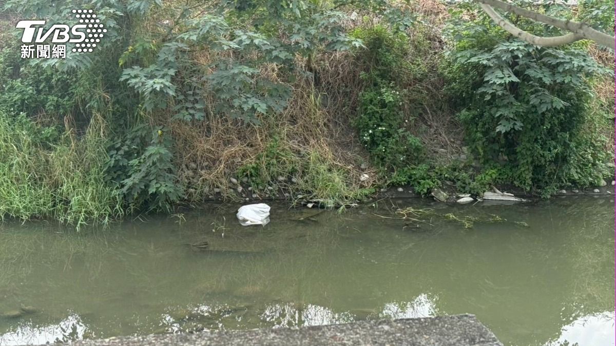 疑滑倒喪命！七旬翁陳屍溪畔　鄰居曝：怕染豬瘟急丟羊屍