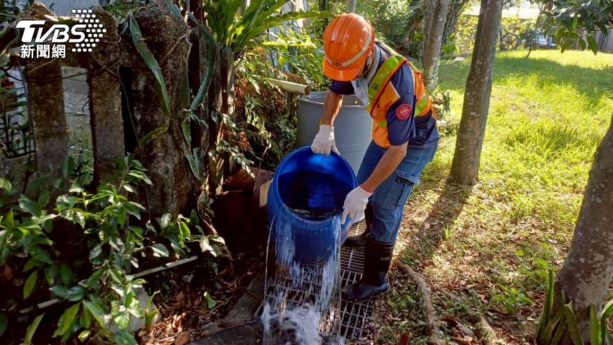 本土登革熱+1！汐止67歲婦沒出國竟確診「感染源不明」