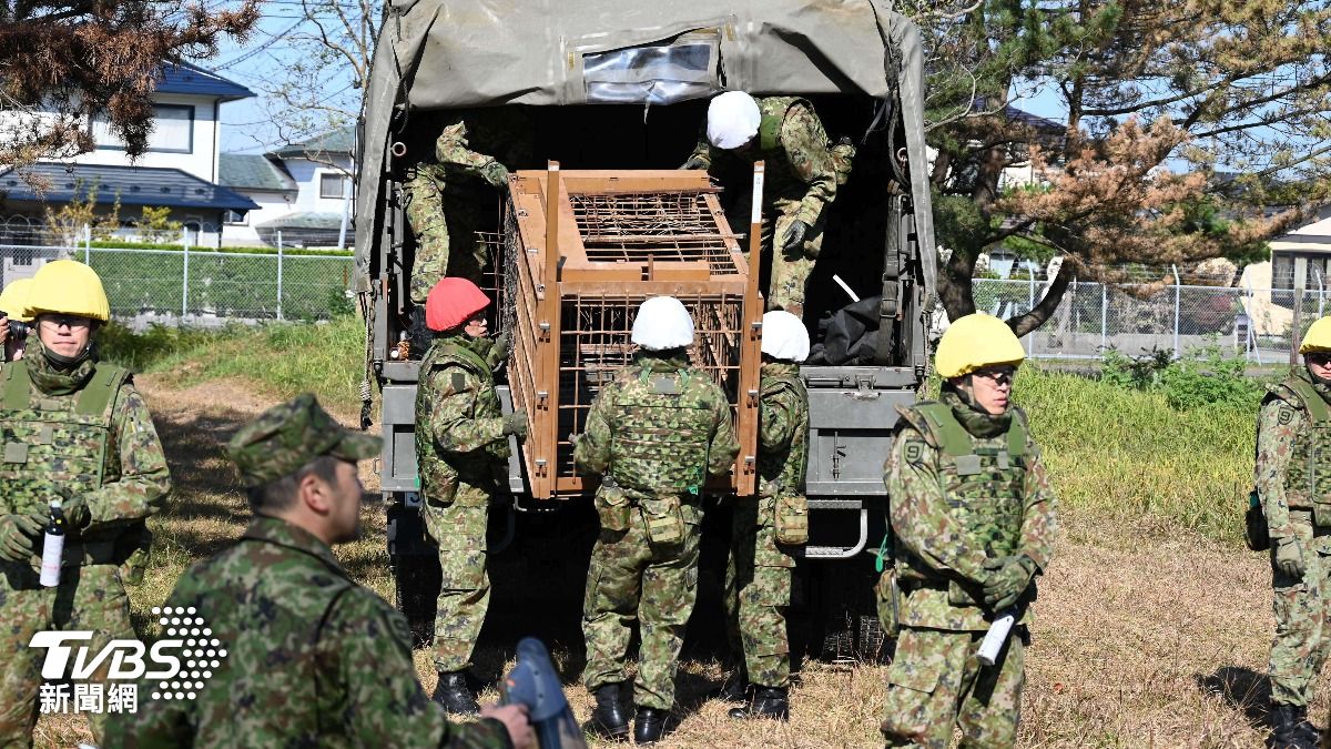 太多熊出沒！日本自衛隊與秋田縣簽約　部隊協助因應熊害
