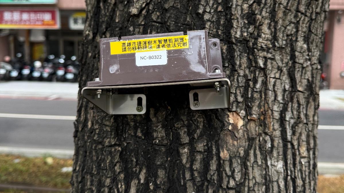 高雄輕軌路樹導入AI監測　樹木傾斜情形每小時回報