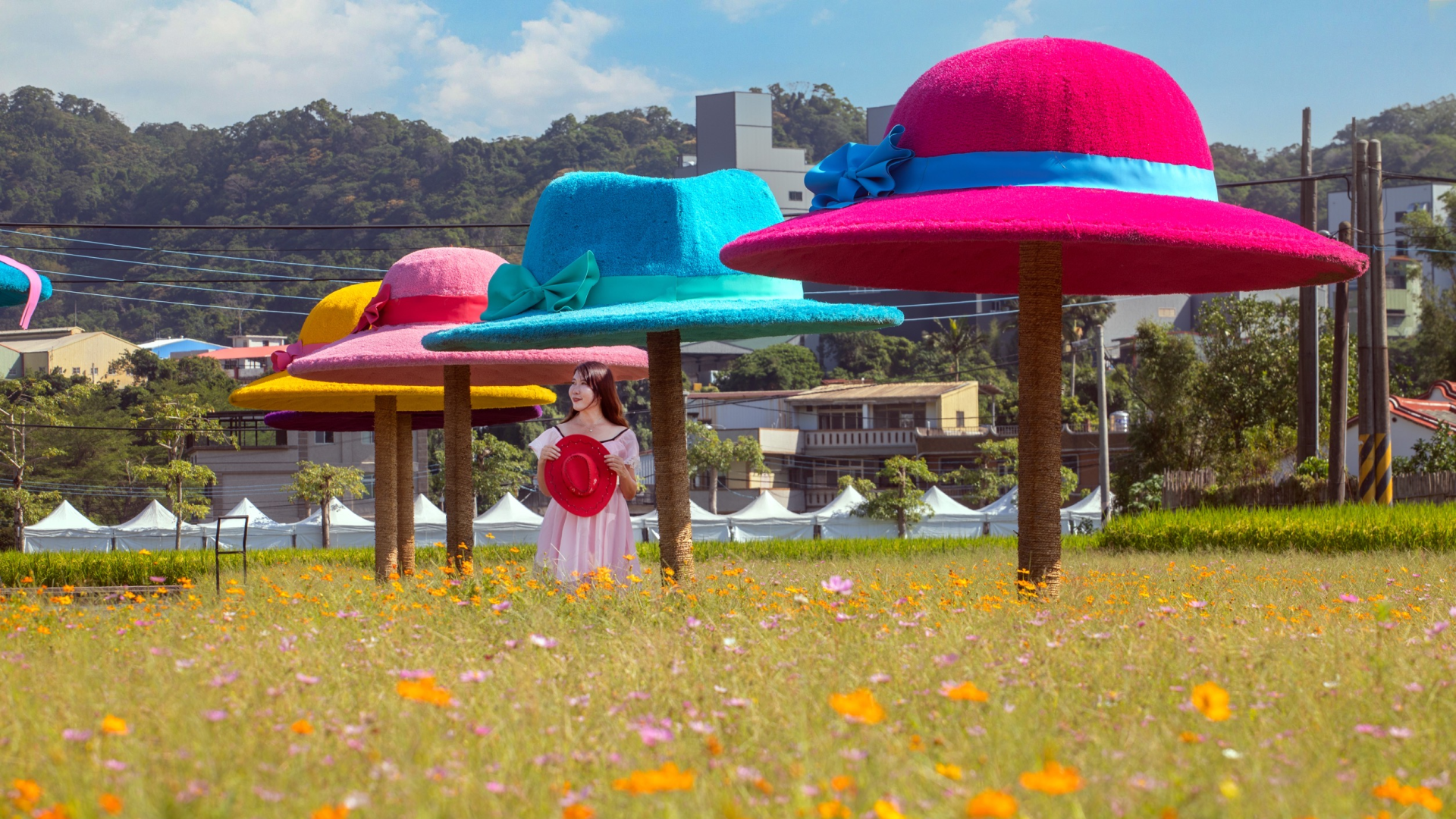 鳳飛飛主題獲好評 花彩節將延後閉園