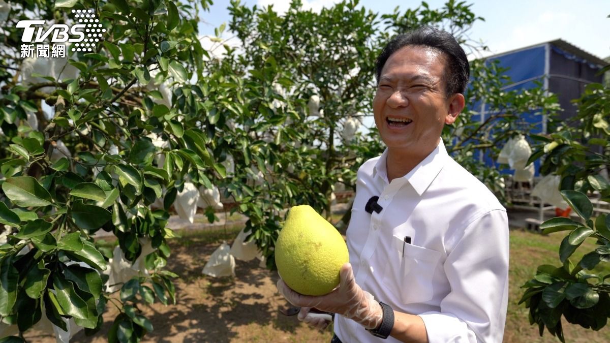 佳頴T政步／在柚子園看見林俊憲的手－「政治要用做的」