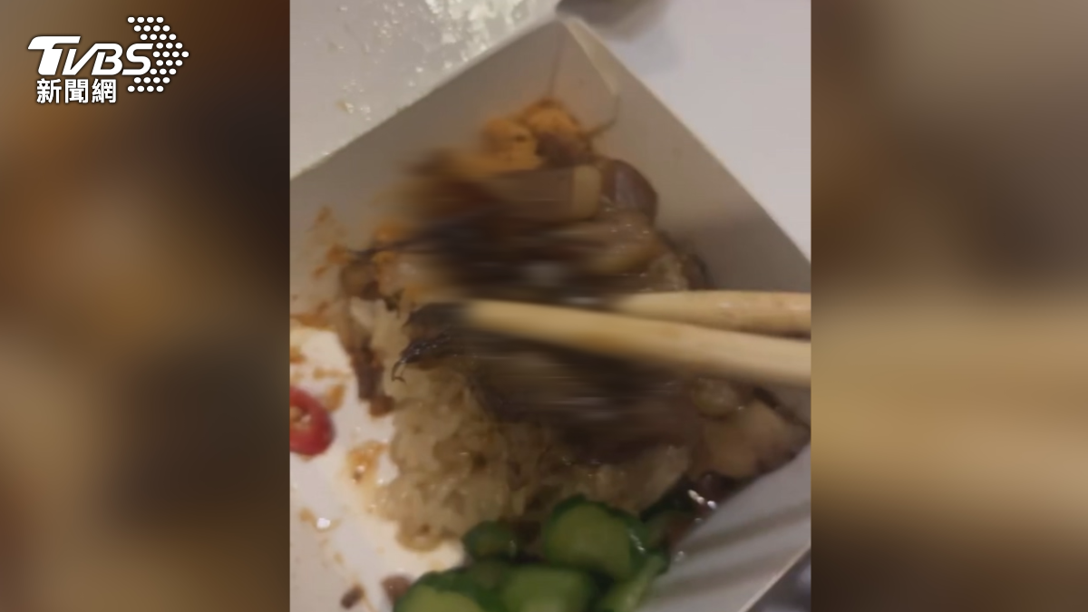 真假！外送米糕吃到超大「小強」衛生局上門業者也回應了