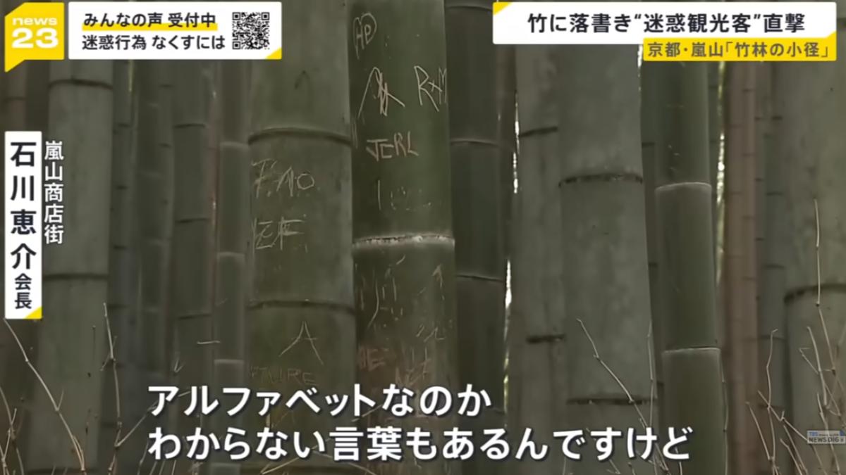 京都嵐山竹子遭塗鴉！當局擬「砍部分竹林」　日媒直擊外國客闖私宅