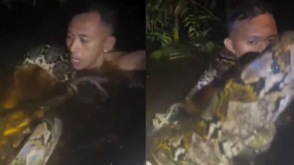 印尼導遊遭6米巨蟒拖入水中「繞頸不放」　救援驚險畫面曝