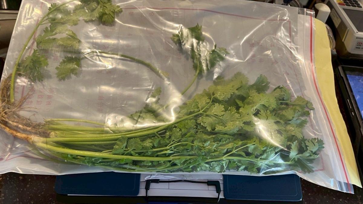 「毒香菜」流入餐廳!台北知名港式飲茶淪陷 青蔥也中鏢