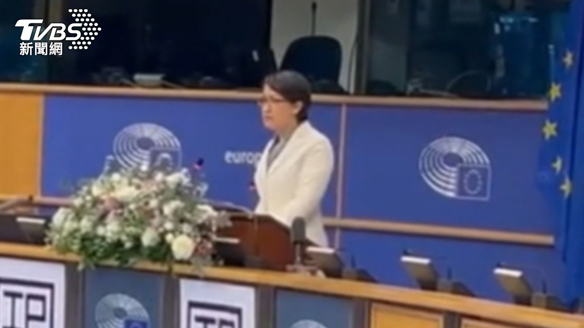 驚喜! 蕭美琴歐議會演講 陸表達「強烈憤慨」