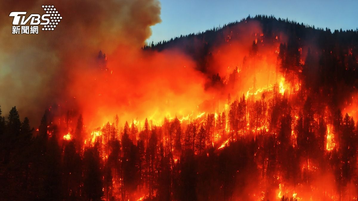 紐西蘭北島國家公園野火延燒1100公頃!8直升機、3飛機投入救援