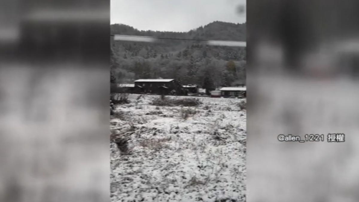 札幌首降雪夢幻白雪吸睛!北海道旅遊團「狂降1萬」真相曝