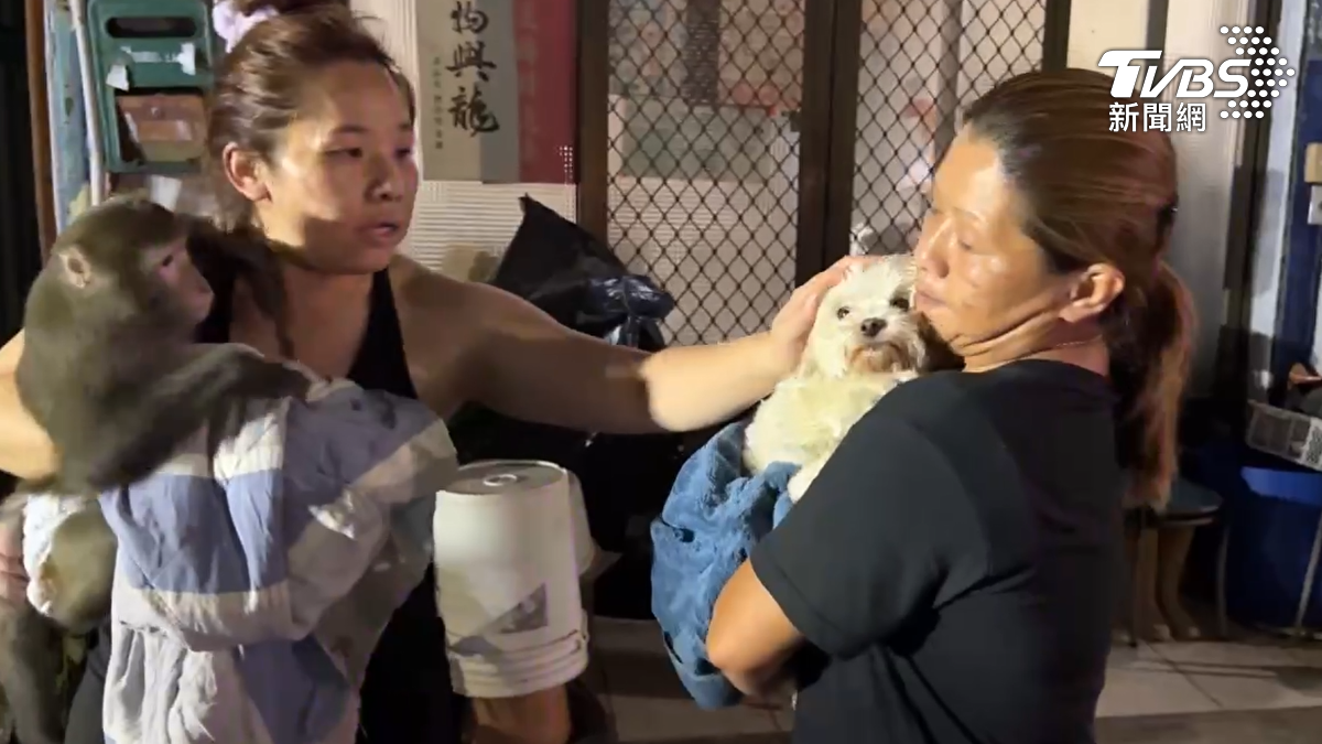 高雄凌晨大火!瞬間延燒3鐵皮屋 住戶「抱猴救狗」急逃命