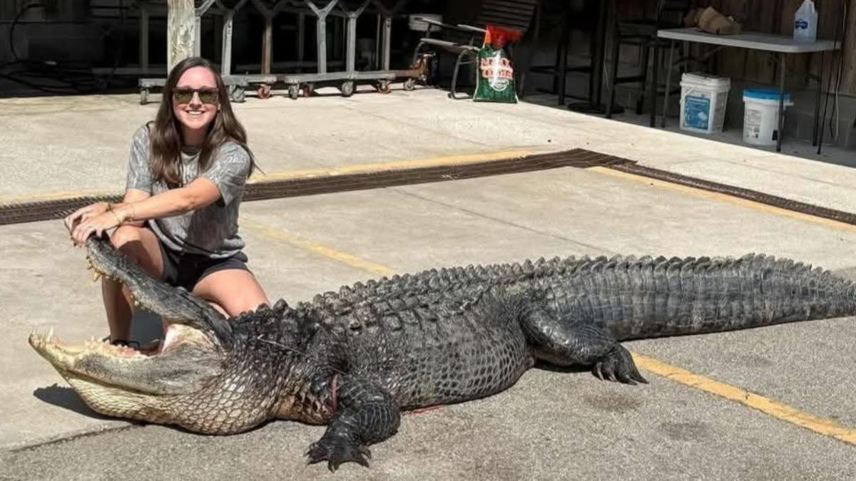 美捕鱷女成功抓到3米長200多公斤重鱷魚 要來做香腸跟地毯