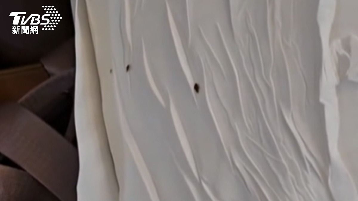 臭蟲入侵! 台南旅館枕頭.床單全都是 嬤嚇壞不敢睡