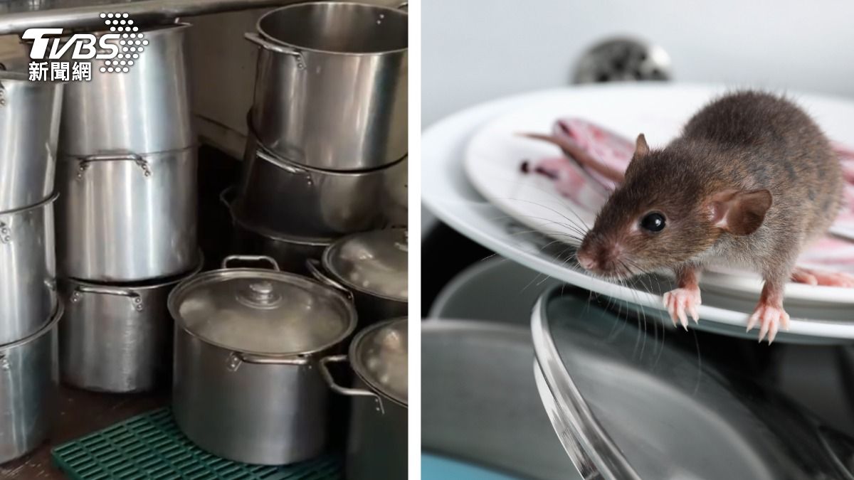 料理鼠王現身台中小吃店！老鼠跳進鍋　店員淡定繼續煮