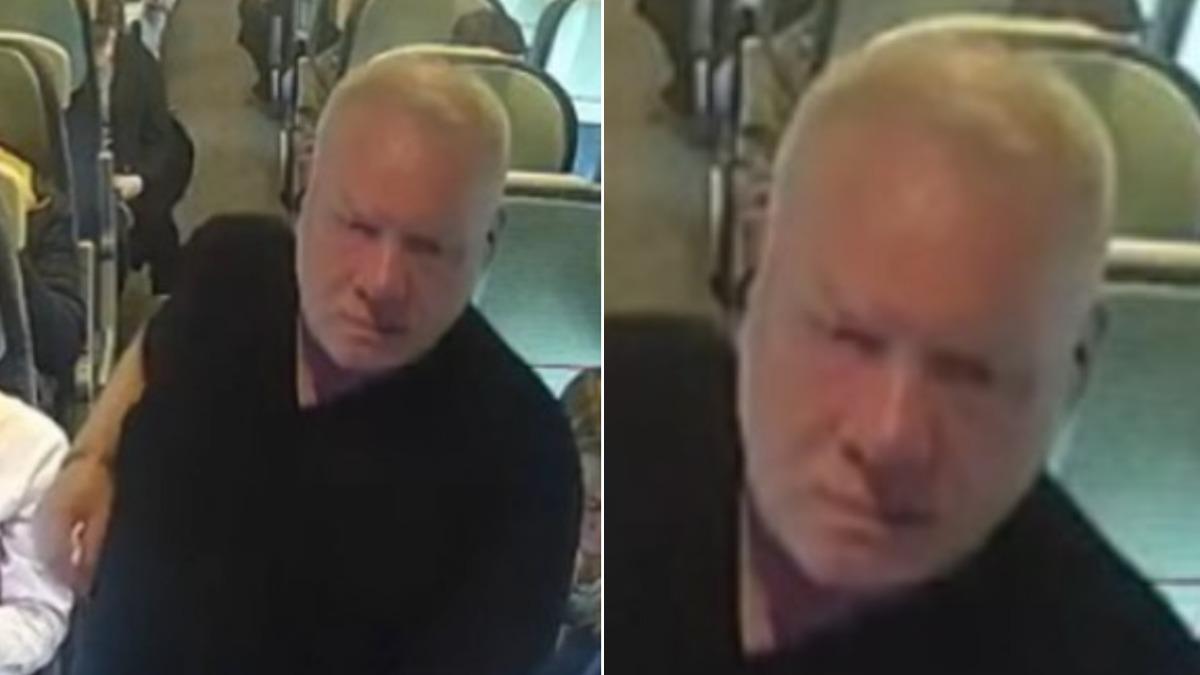 搭火車睡著!她驚醒發現「正遭性侵」 警方公開噁男長相