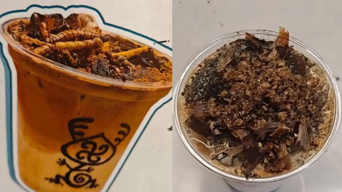 中國博物館賣「蟑螂咖啡」要價196元　強調「符合食安」味道苦酸