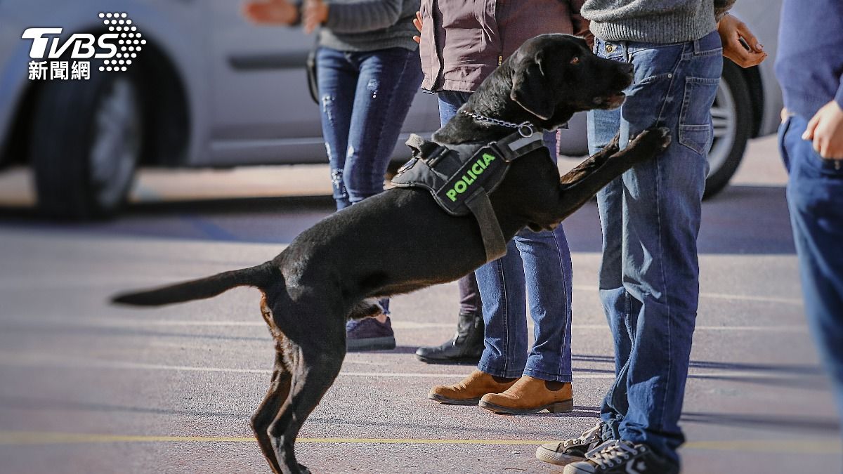 緝毒犬助攻！少年警搜永康倉庫　查獲K他命162包、咖啡包滿倉