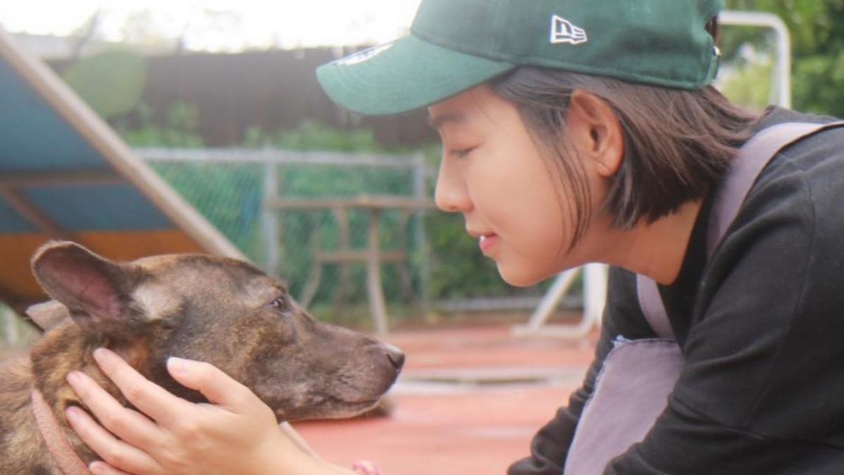 188隻無聲狗遭「轉送續虐」！米可白痛批苗栗縣府：真的很可怕