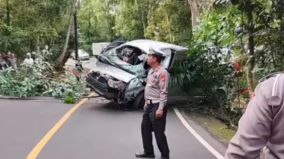 峇里島重大車禍！陸遊客「5死8傷」　小巴墜溝車頭全毀