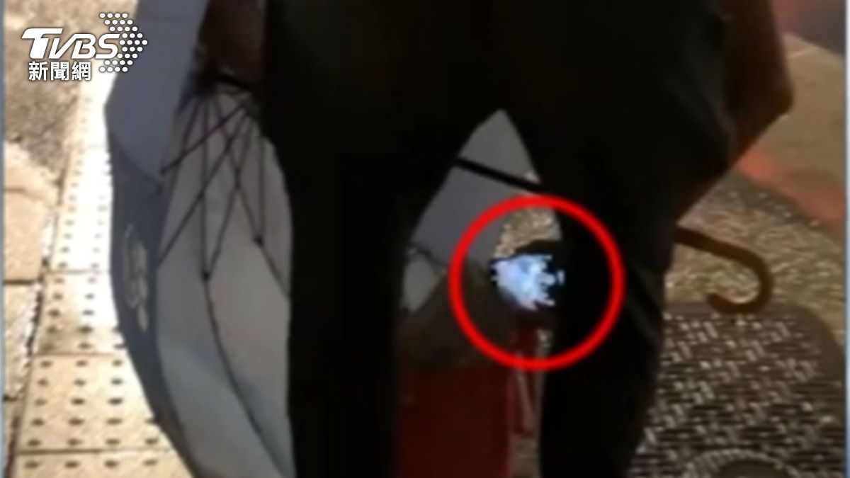 嫌拿傘遮「伸手機到裙底」 女街頭斥責逮人