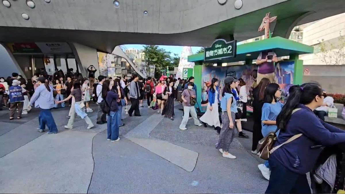 拍了嗎?《動物方城市2》有候車區 《阿凡達3》現蹤耶誕城