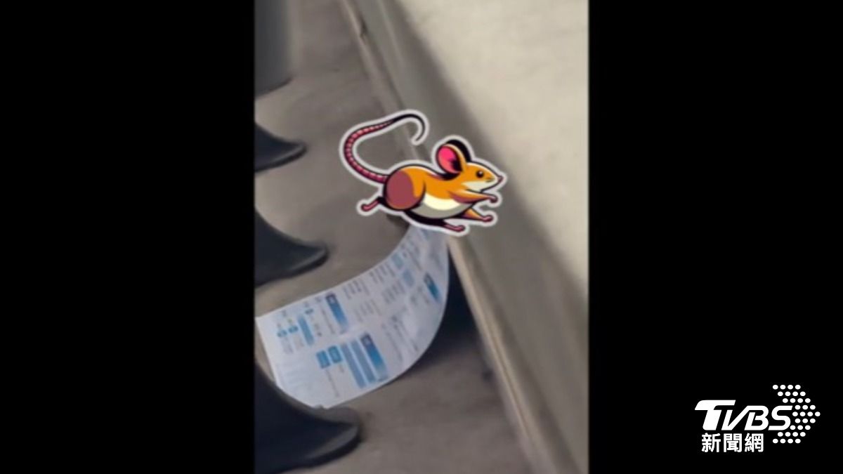 SJ開唱! 網友拍大巨蛋「鼠竄」 停車場「見蛇」?!