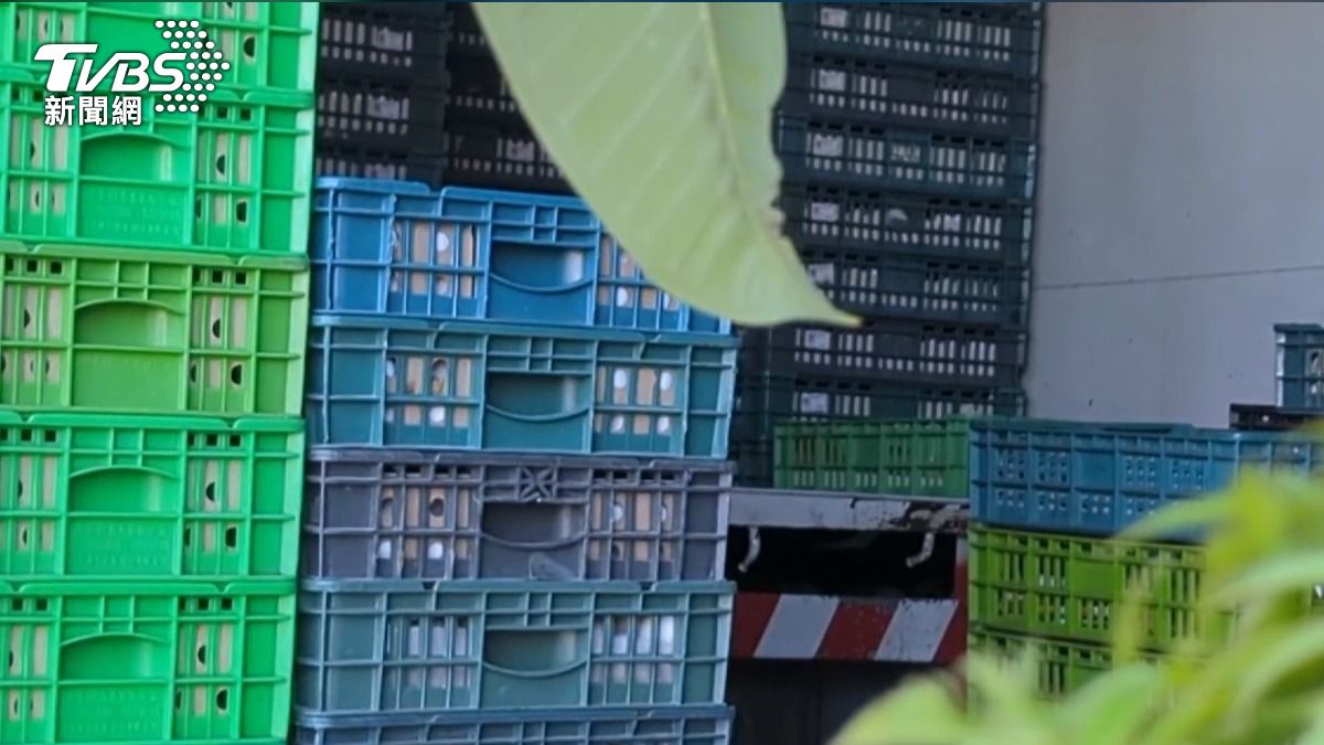 彰化蛋農管制期偷賣雞蛋 農藥超標5倍恐流消費者肚