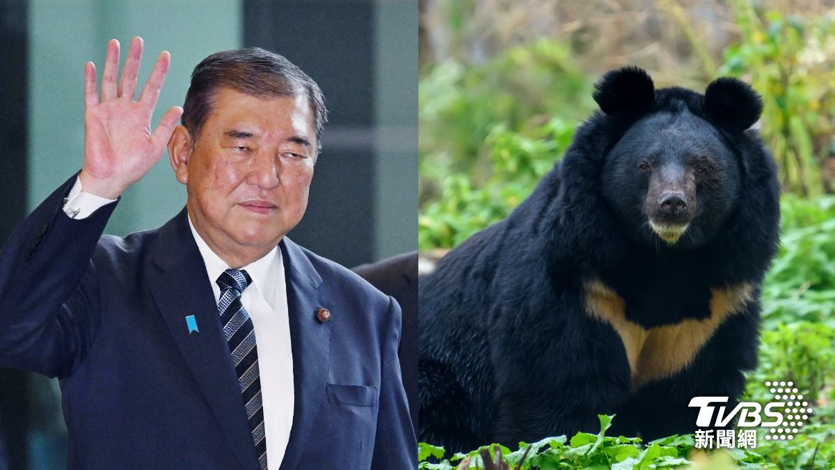 前日相石破茂吃熊肉讚「熊叉燒好吃適合配紅酒」 盼吃野味解熊害