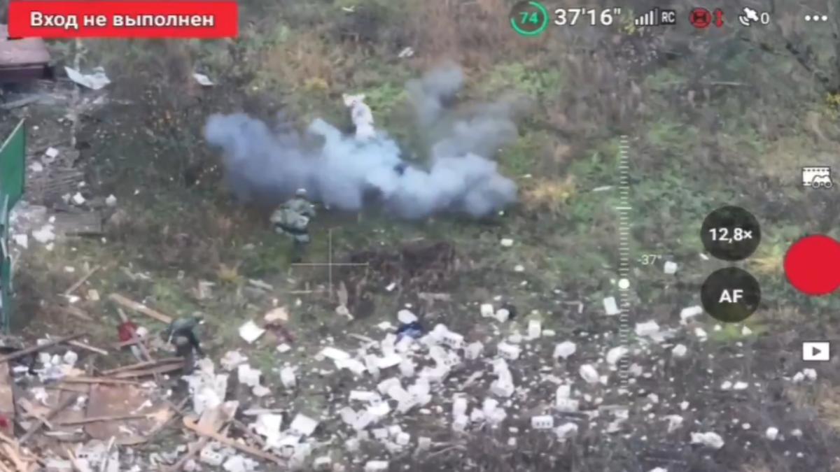 有片／豬誤踩地雷救2俄兵！危險爆炸瞬間瘋傳　豬下場曝