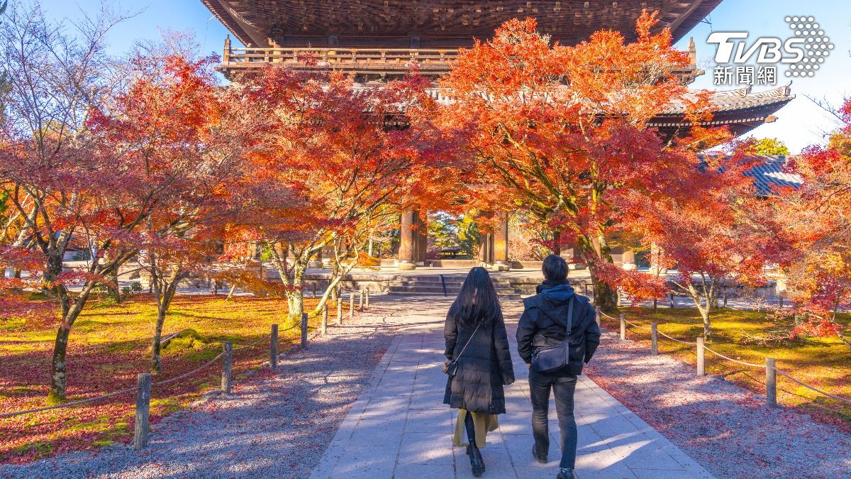 日媒河口湖訪陸客皆稱日本安全 網笑身體很誠實「我們懷念他們」