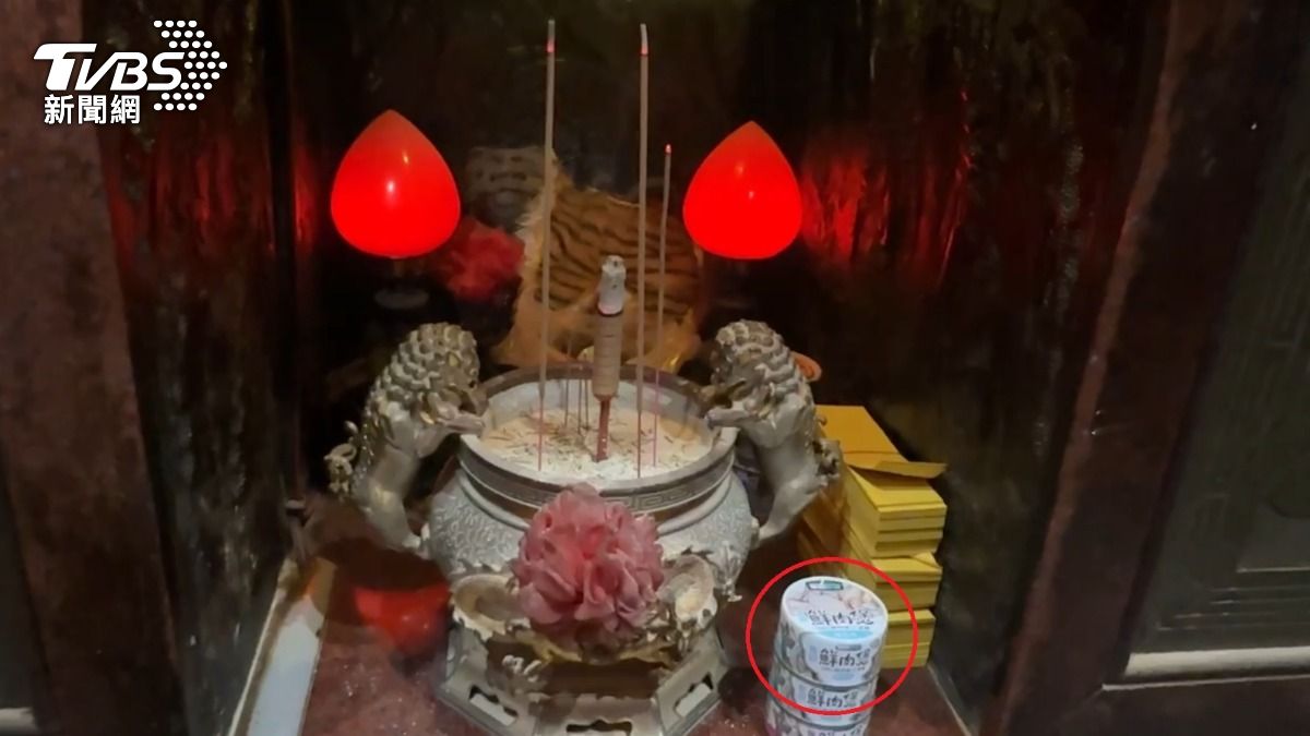 獨／拿貓罐頭拜虎爺！瞬間大發爐　廟方婉謝：祂不是貓